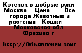Котенок в добрые руки. Москва. › Цена ­ 5 - Все города Животные и растения » Кошки   . Московская обл.,Фрязино г.